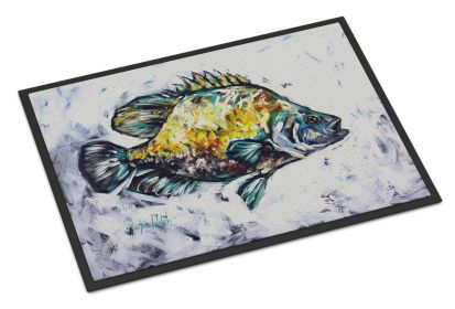 Triple Tail Doormat Front Door Mat Indoor Outdoor Rugs for Entryway, Non Slip Washable Low Pile, 24H X 36W