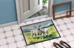 Springtime Lambs Doormat Front Door Mat Indoor Outdoor Rugs for Entryway, Non Slip Washable Low Pile, 24H X 36W