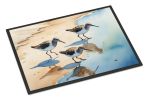 Sandpipers Doormat Front Door Mat Indoor Outdoor Rugs for Entryway, Non Slip Washable Low Pile, 24H X 36W