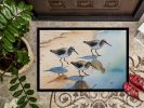 Sandpipers Doormat Front Door Mat Indoor Outdoor Rugs for Entryway, Non Slip Washable Low Pile, 24H X 36W